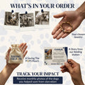 Free Auburn Paw Bracelet