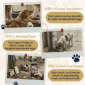 Free Auburn Paw Bracelet