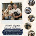Free Midnight Paw Bracelet