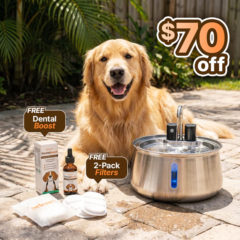 The PET Fountain